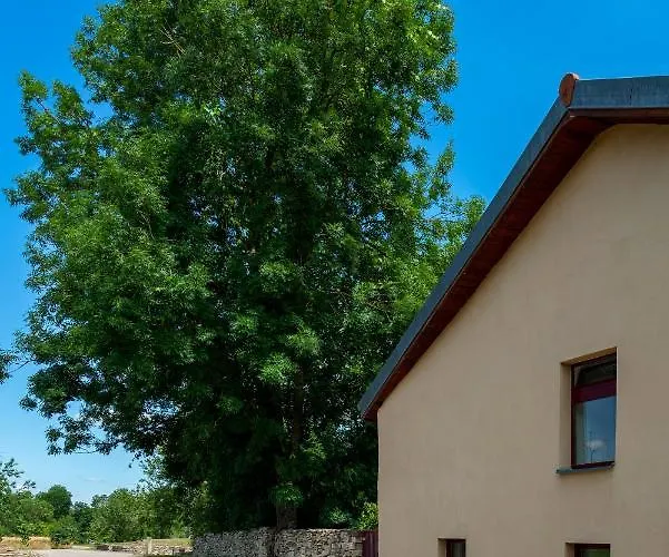 Casa de hóspedes Le Vieux Nayeu