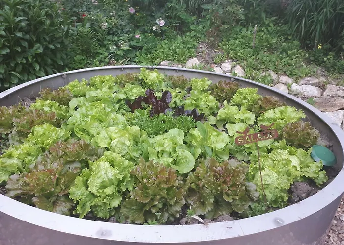 Casa de hóspedes Le Vieux Nayeu *