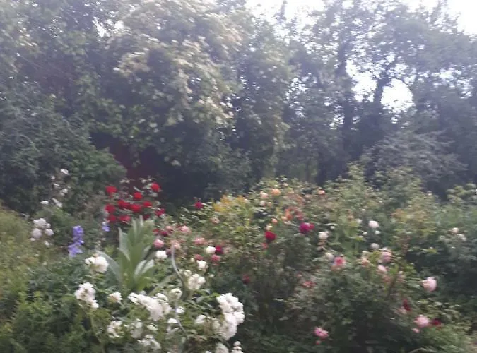 Casa de hóspedes Le Vieux Nayeu Raville